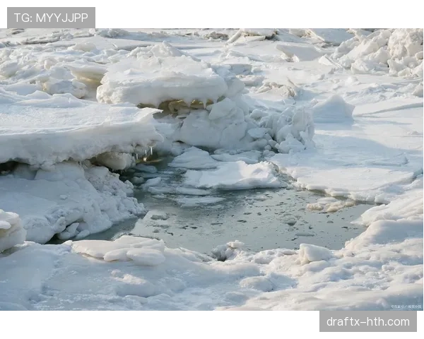 根特状态持续回暖，强势表现引联赛关注